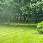 Domaine Marcel Tatil Evi